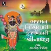 About Bhajman Girivardhari Kunj Bihari Shrinathji Song