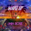 About Wake Up Song