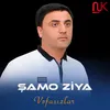 About Vəfasızlar Song