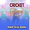 About Cricket Song