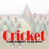 Cricket