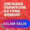 About Che Mana Oshwa Ow Ka TaNa Ghunah Song
