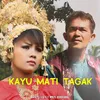 About Kayu Mati Tagak Song