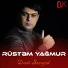 About Dost Sevgisi Song