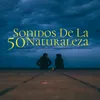 About Concentración y Calma Mental Song