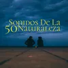 About Encanto De La Montaña Song