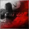 N-am Aripi