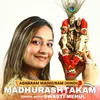 About Adharam Madhuram Song