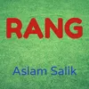 About Rang Song