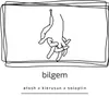 About bilgem Song