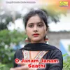 About O Janam Janam Saathi Song