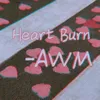 About Heart Burn Song