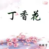 About 丁香花 Song