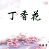 丁香花