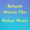 About Behada Meena Oka Song