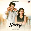 About Sorry Song