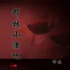 About 邓林小酒吧 Song