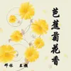 About 芭蕉菊花香 Song