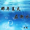 那年夏天在衡水