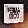 About Permaneço Song