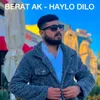 About Hay Lo Dilo Song