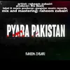 About PYARA PAKISTAN Song