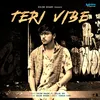 About Teri Vibe Song