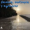 About Camina, contempla y agradece Song