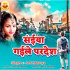 About SAINYA GAILE PARDESH Song