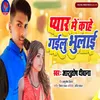 About Pyar main kahe gailu bhulai Song