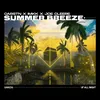 About Summer Breeze Song