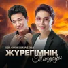 About Жүрегімнің таңдауы Song