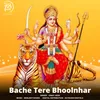 About Bache Tere Bhoolnhar Song