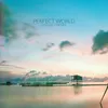 About Perfect World Song