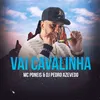 About Vai Cavalinha Song