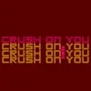About crush on you remix Song