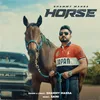 About Horse Song
