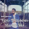 About Keno Bhalobeseo Harate Hoi Song