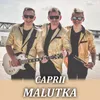 About Malutka Song