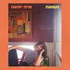 About תמונה Song