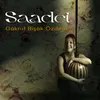 About Saadet Song