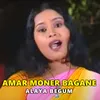About Amar moner Bagane Song