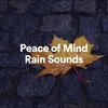 About Tasteful Rain Song