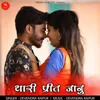 About Thari Preet Jaanu Song