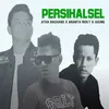 About PERSIHALSEL Song