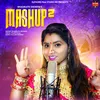 About Mashup 2 Song