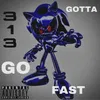 About GOTTA GO FAST Song