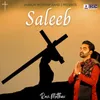 About Saleeb Song