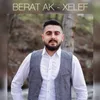 About Xelef Song