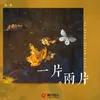 About 一片两片 Song